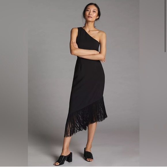 Hutch Dresses & Skirts - Hutch one shoulder fringe asymmetric dress
